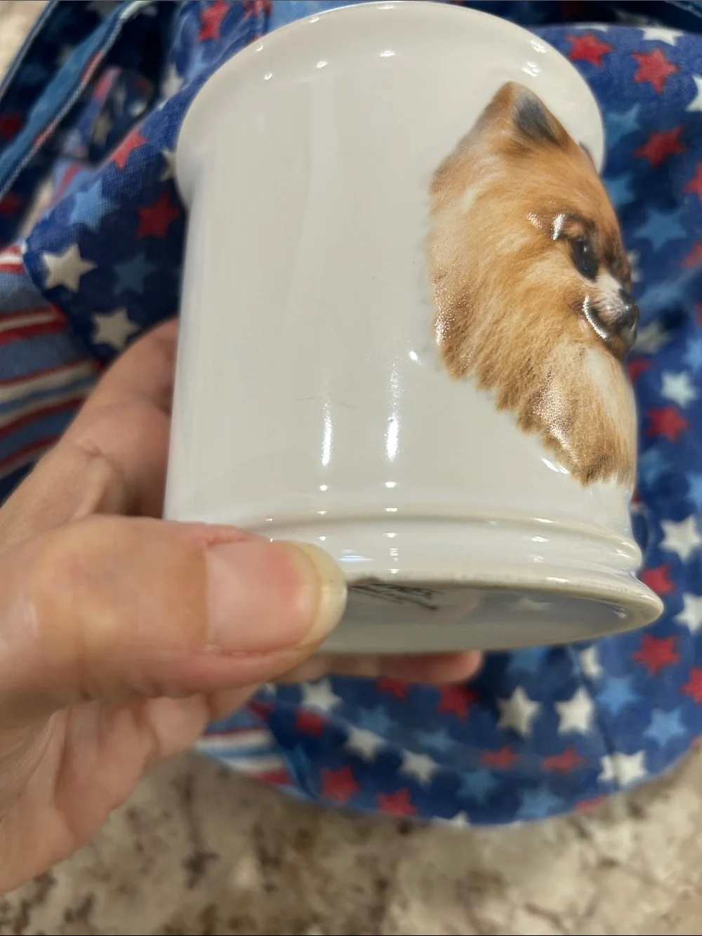 Vintage Ceramic Mug with Pomeranian 3D Face - 1 small chip on bottom see pics